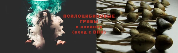 кокс Горно-Алтайск