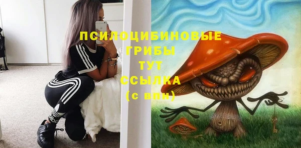 mix Горняк