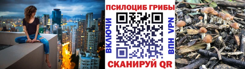 Галлюциногенные грибы мицелий  купить  сайты  Ялта 