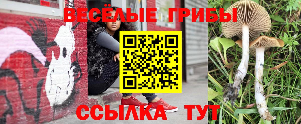 Псилоцибиновые грибы мицелий Ялта