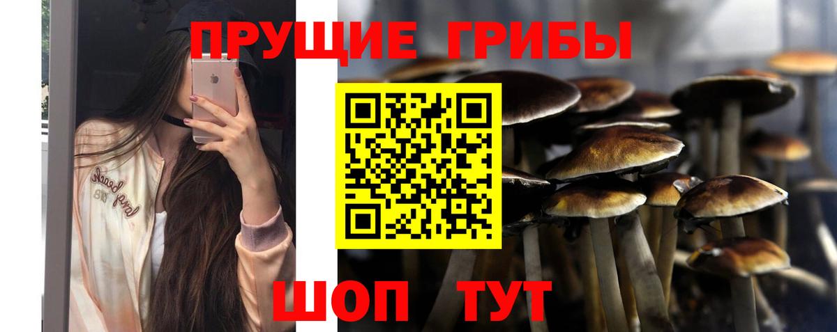 где можно купить наркотик  Вход с VPN  Ялта  Псилоцибиновые грибы Magic Shrooms 